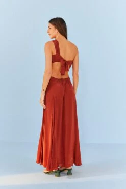 Farm Rio Brown Maxi Dress 11 Farm Rio Brown Maxi Dress -Farm Rio Dress Shop 306899 04